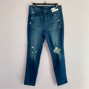NEW Arizona Distressed High Rise Curvy Skinny Jeans